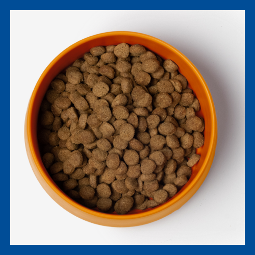 Virbac urinary dog food top